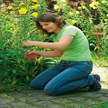 WOLF-Garten 73CFA002650 Comfort Plus Bypass Secateurs, 22 mm