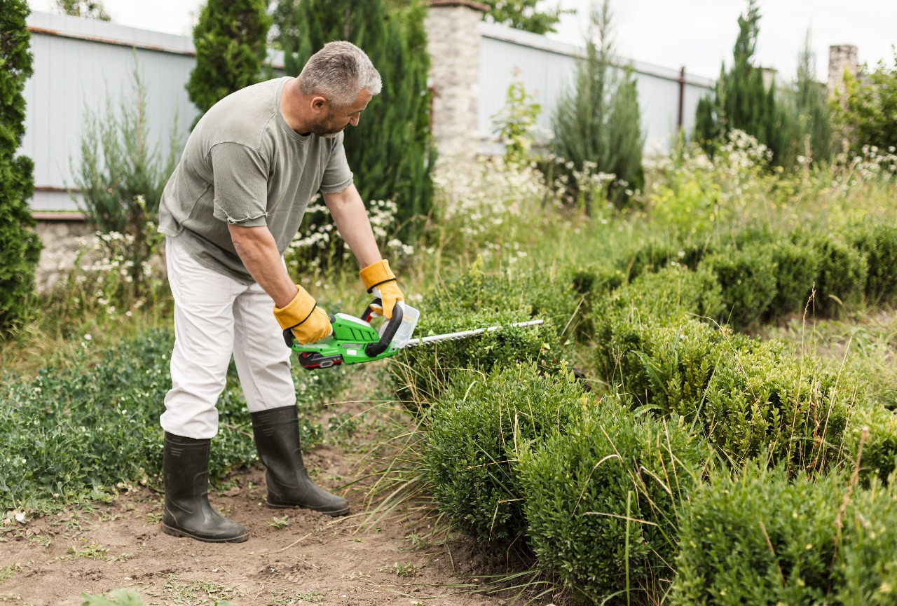 best-quality garden tools